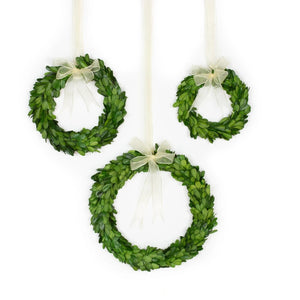 Boxwood Wreath Medium