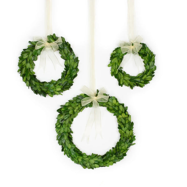 Boxwood Wreath Medium